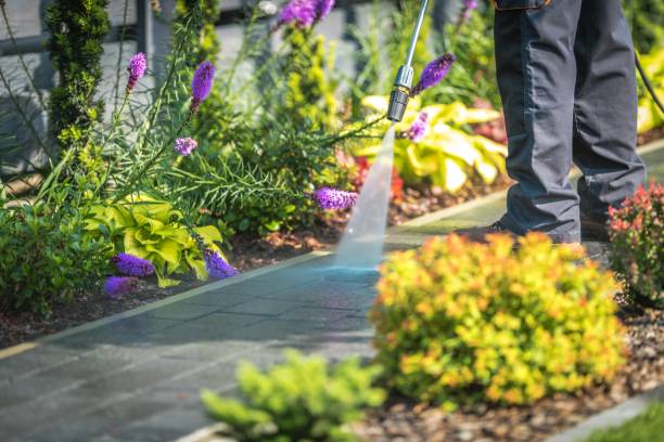 Best Winterizing Services  in Greenbelt, MD